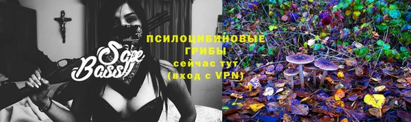 марки nbome Горняк