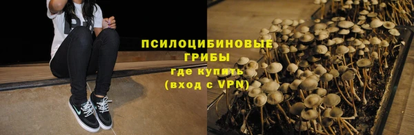 марки nbome Горняк