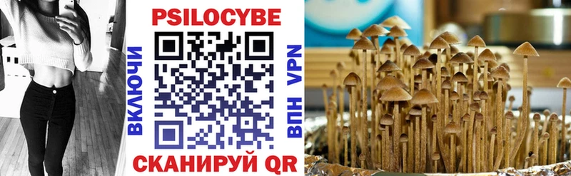 Галлюциногенные грибы GOLDEN TEACHER  Купить закладки  Верещагино 