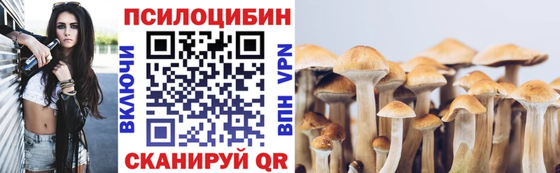 Псилоцибиновые грибы Psilocybine cubensis Верещагино